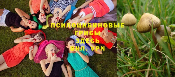 марки nbome Кукмор