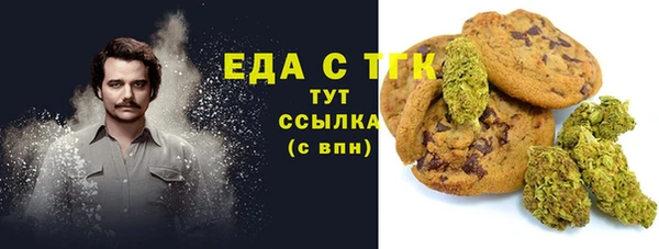 индика Куйбышев