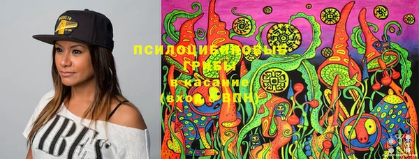 марки nbome Кукмор