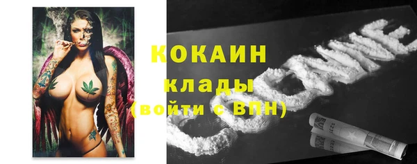 индика Куйбышев