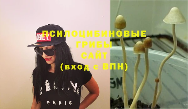 марки nbome Кукмор