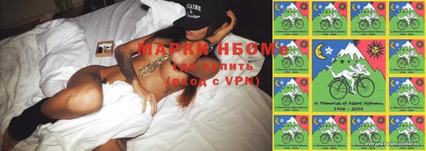 индика Куйбышев