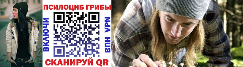 купить закладку  Ряжск  площадка клад  Галлюциногенные грибы Cubensis 